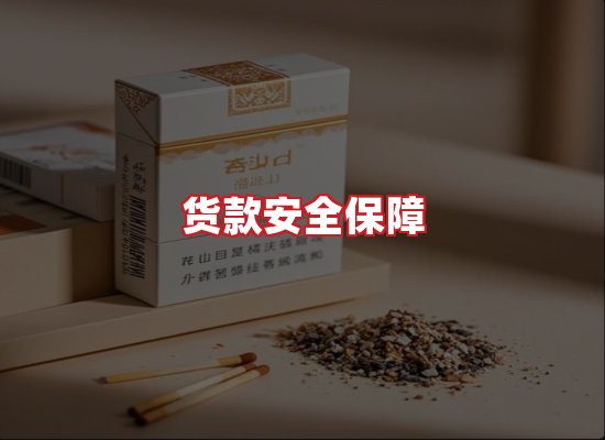 专业团队